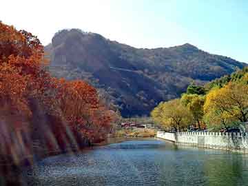 天天彩好彩天天免费，调兵山seo论坛